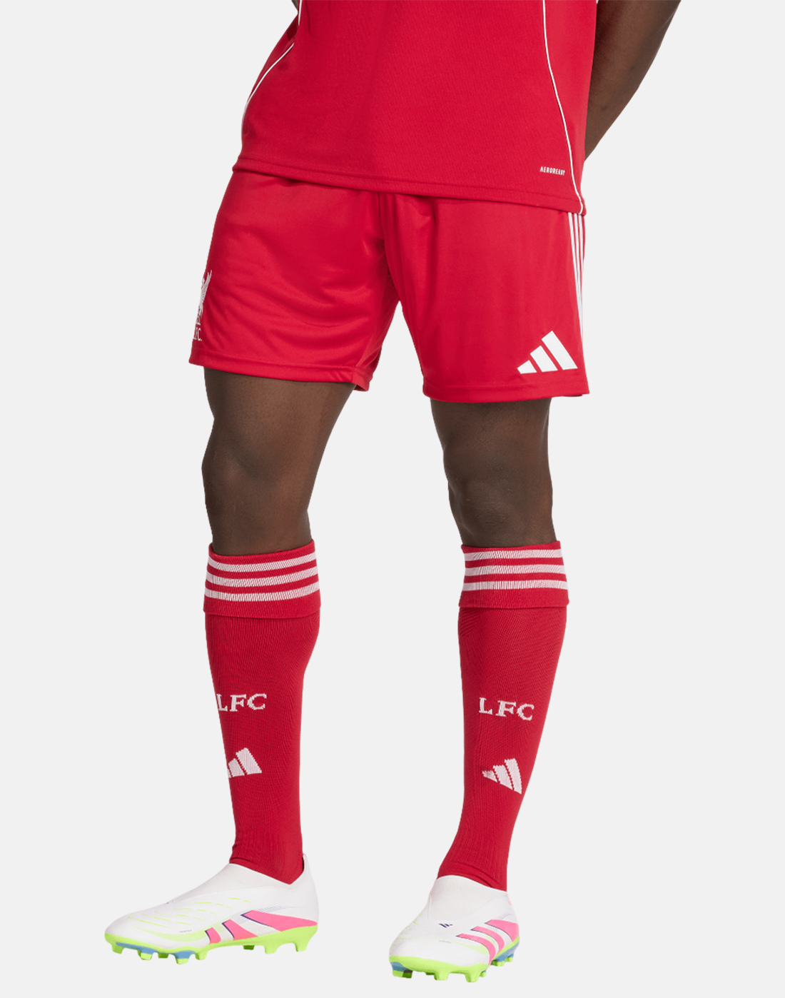 Men's adidas Adults Liverpool 25/26 Home Shorts in Red | Small | Polyester