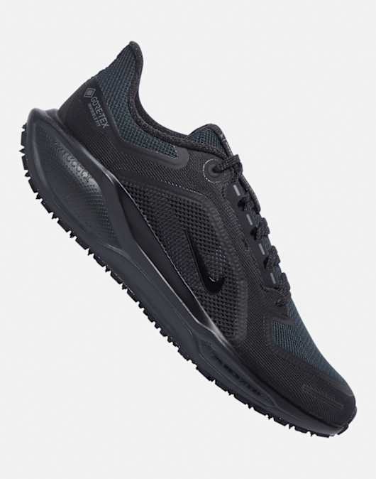 Mens Pegasus 41 Goretex