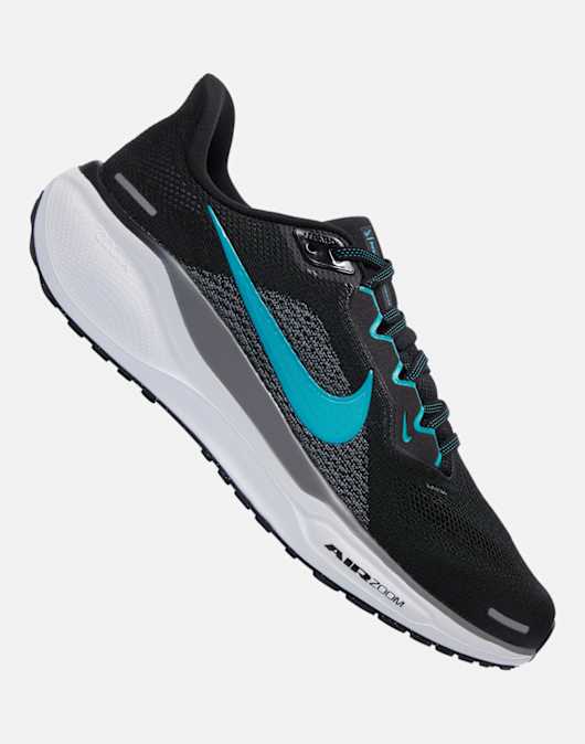 Mens Pegasus 41