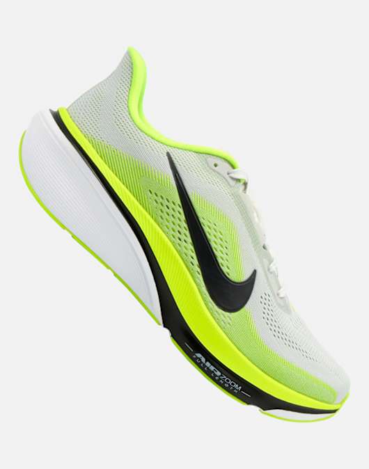 Mens Pegasus 42