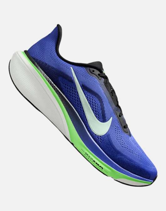 Mens Pegasus 42