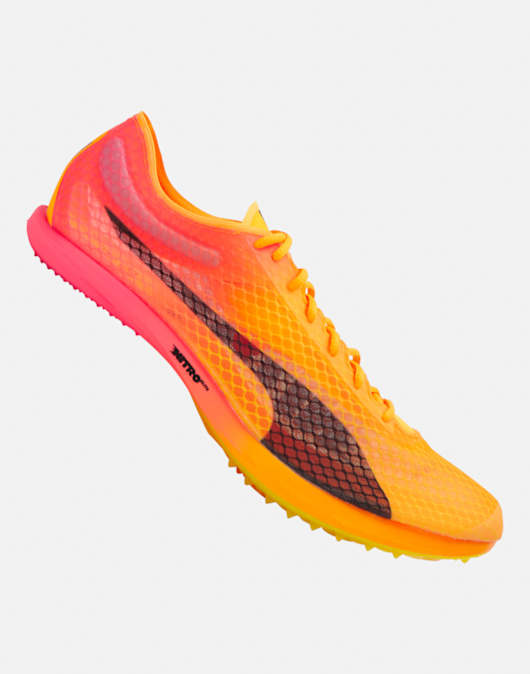 evoSPEED Distance Nitro Elite+ 4 Track Spikes