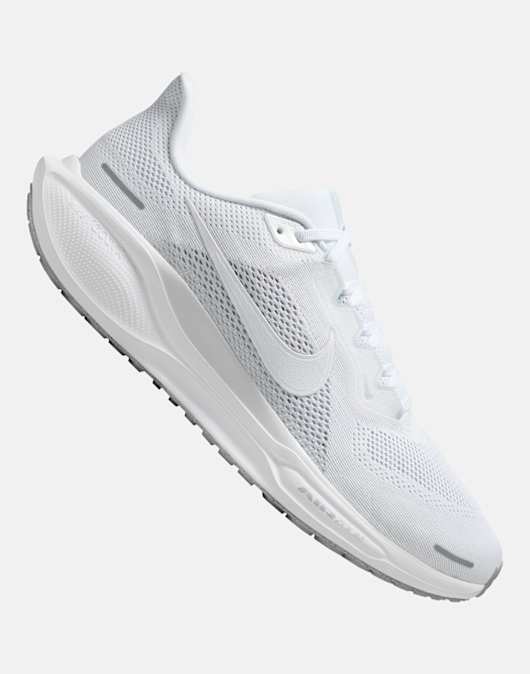 Mens Air Zoom Pegasus 41