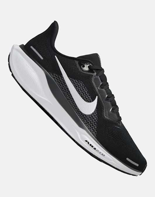 Mens Air Zoom Pegasus 41