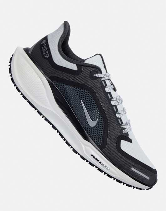 Womens Pegasus 41 Goretex