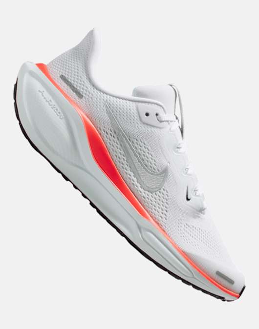 Older Kids Pegasus 41