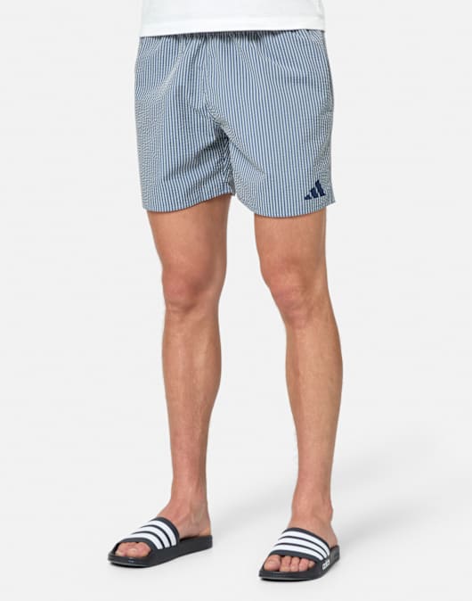 Mens Striped Swim Short