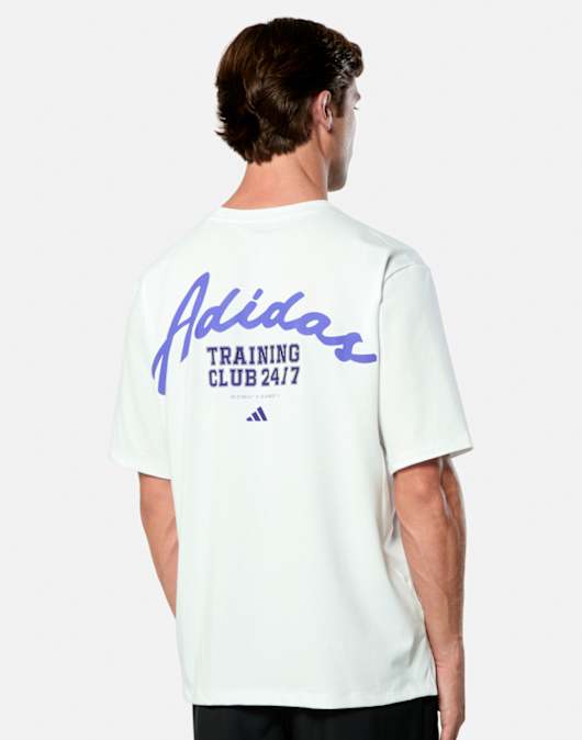 Mens Training Graphic T-Shirt