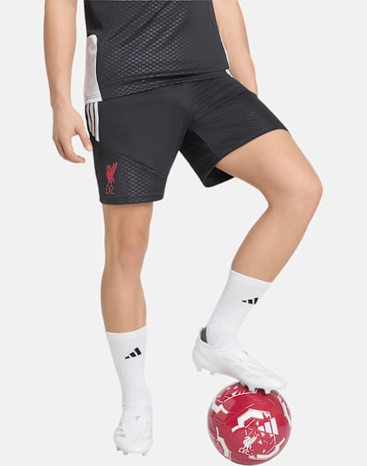Adults Liverpool Training Shorts