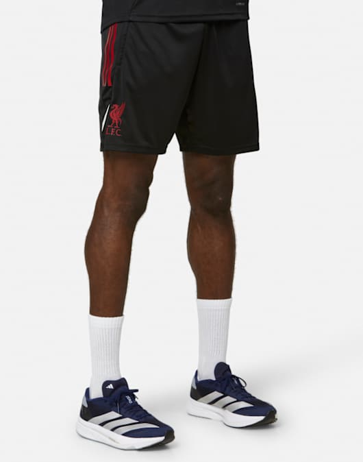 Adults Liverpool Training Shorts