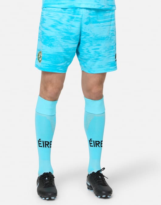 Adults Ireland Home Goalkeeper Short 26