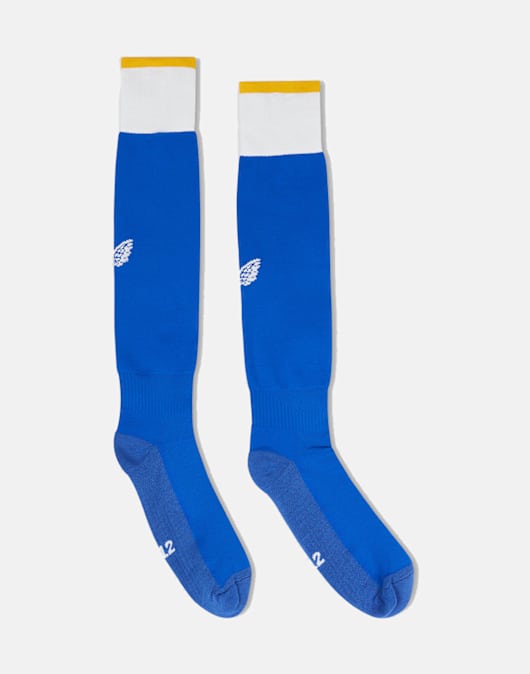 Adults Leinster 23/24 Home Socks