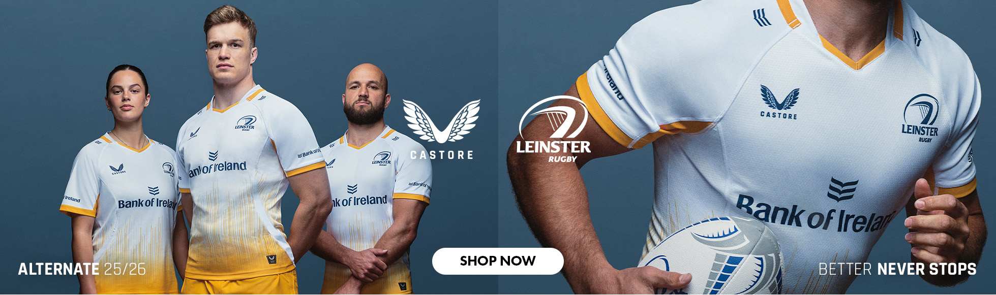 Leinster Alternate Jersey