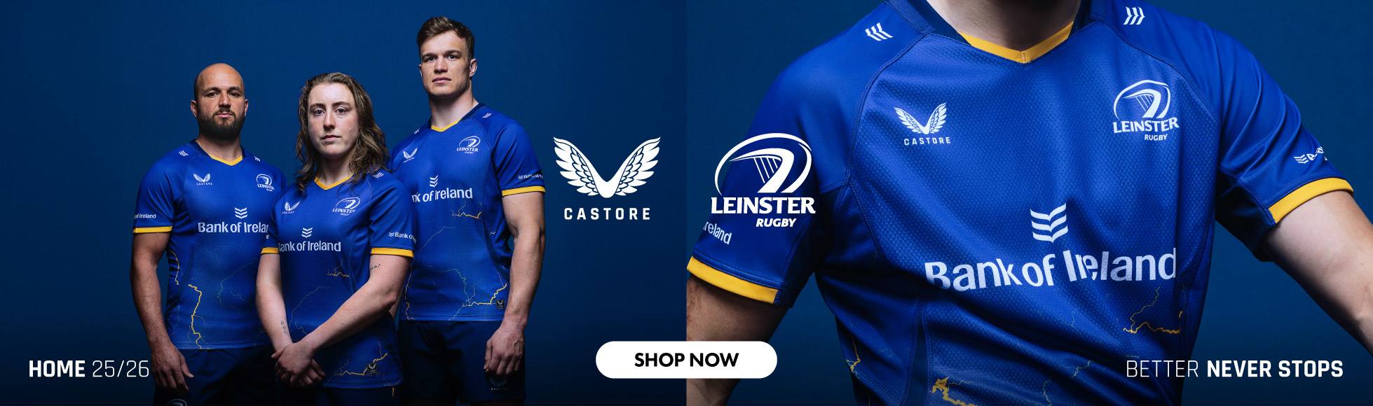 Leinster Home Jersey