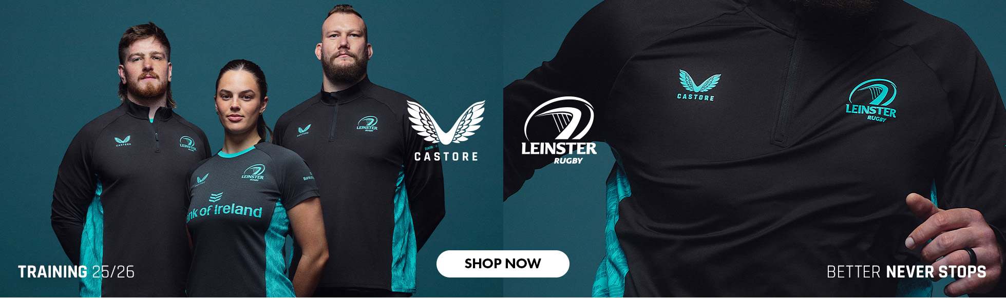 Leinster Training